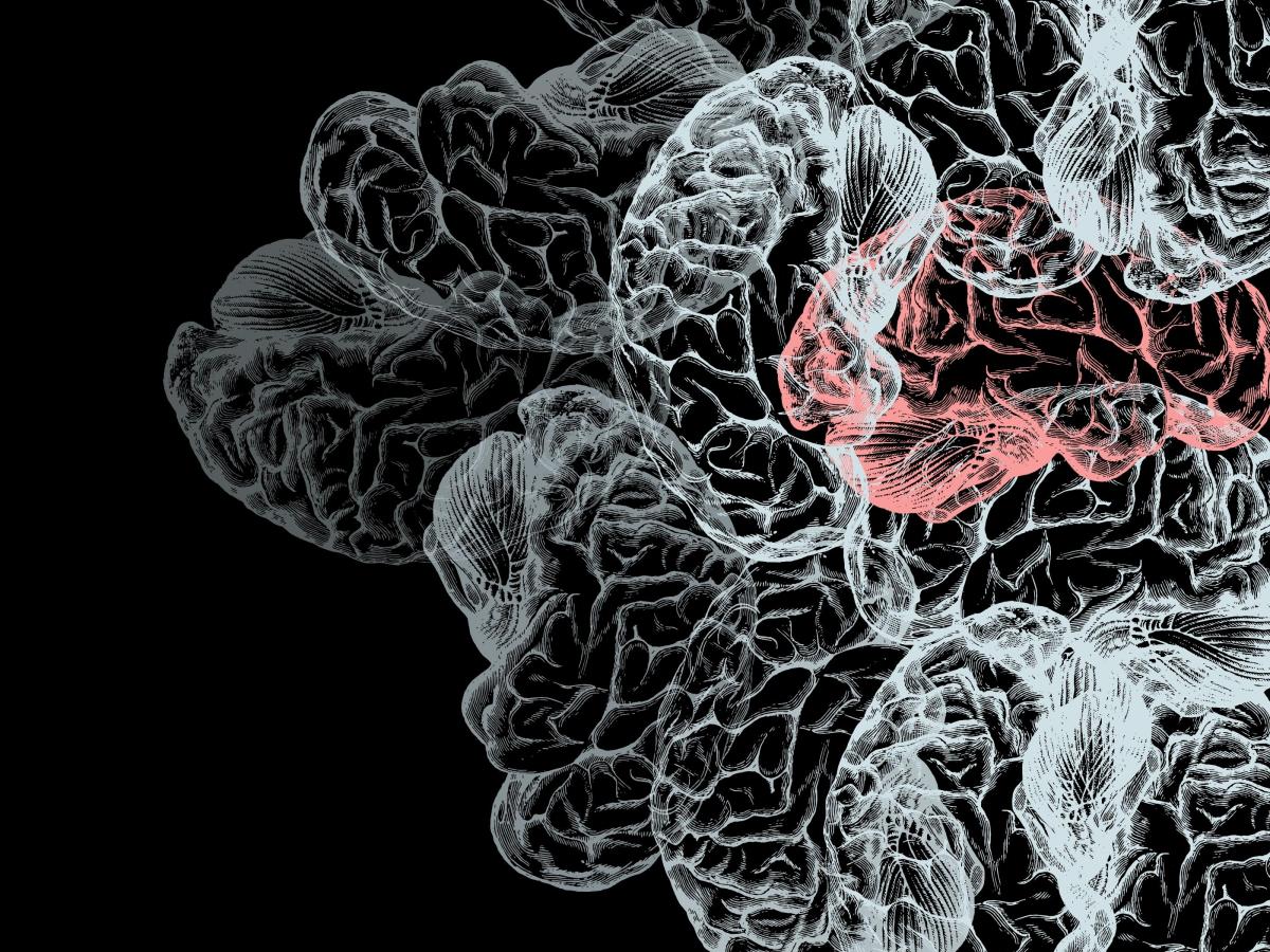 It&rsquo;s not a&nbsp;lie